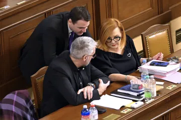 Poslanci se celý den přou o návrh rozpočtu. Hlasovat mají kolem půlnoci