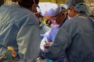 Lékaři poprvé transplantovali geneticky upravenou prasečí ledvinu živému člověku