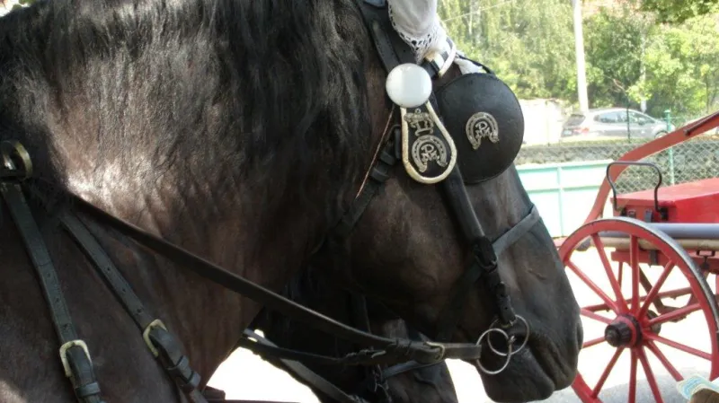 Z oslav v Javorníku na Benešovsku