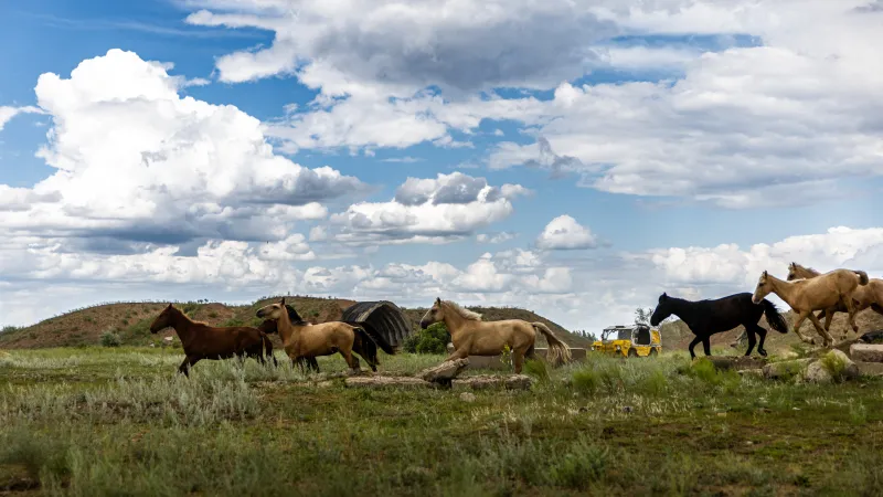 Žlutou žábou do země modrého nebe