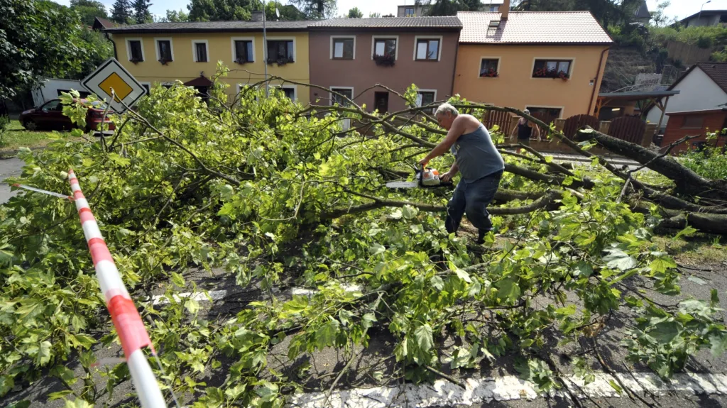 Spadlý strom v Jihlavě