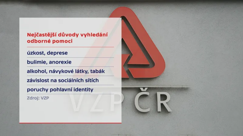 Nejčastější důvody pro vyhledání pomoci psychiatrů