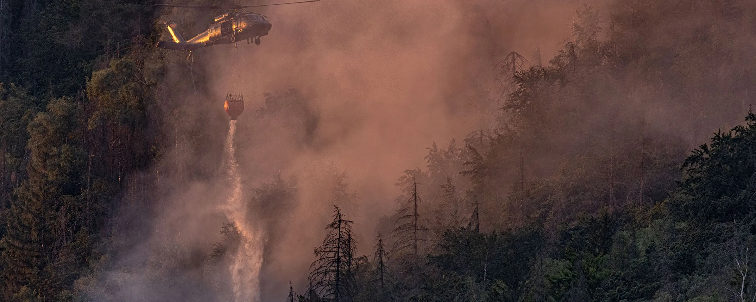 Tohle jsou finalisté Czech Press Photo, řada fotografů soutěž letos