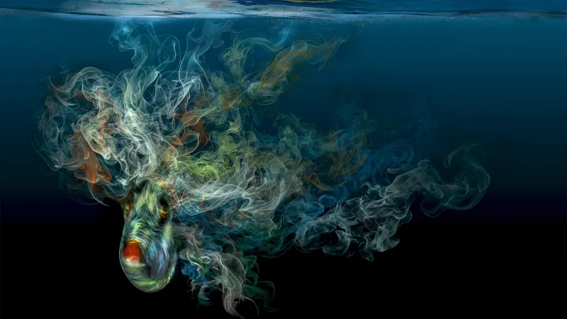 1. místo v kategorii Digitální umění pod vodou (Michal Štros, Tajemný čtverzubec)