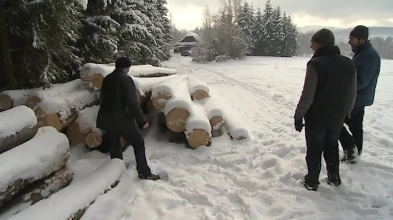 Desítky stromů padly za oběť lepšímu výhledu z rozhledny