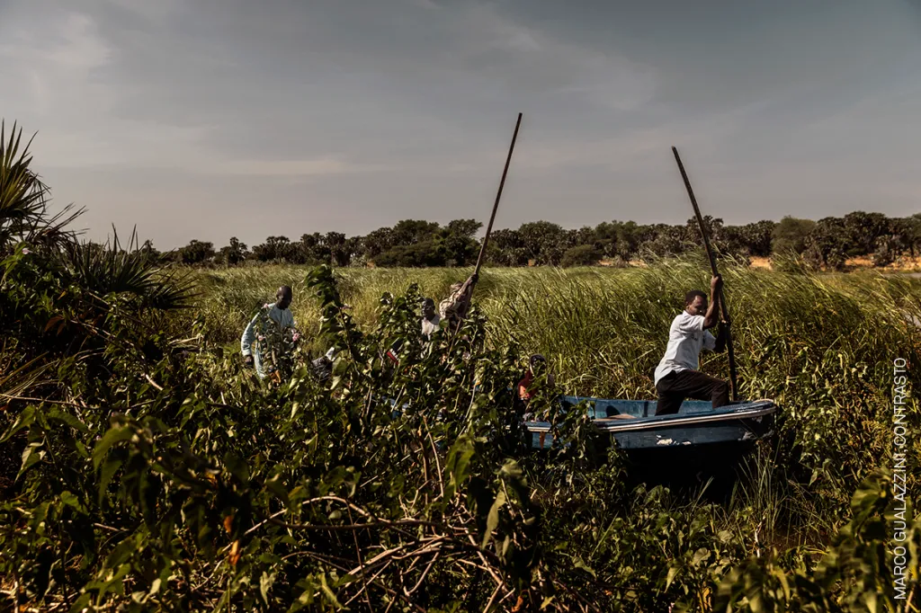 Nominace na vítěznou fotografickou sérii roku. Marco Gualazzini, Contrasto – Humanitární krize v okolí Čadského jezera, jehož plocha se za posledních šedesát let zmenšila o 90 procent