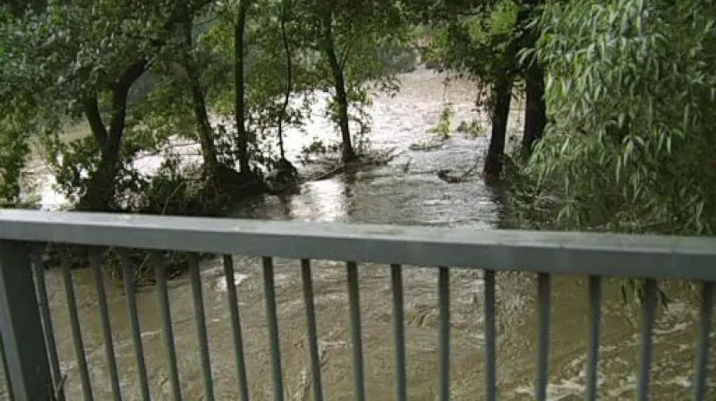 Telefonát Olgy Bakové