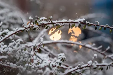 V noci na pondělí dorazí podle meteorologů sněžení, ráno se má přidat i silný vítr