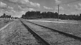 Koleje, které spojovaly železniční stanici v Treblince s táborem smrti