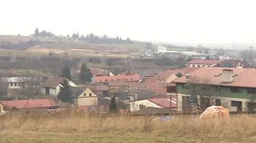 Holubice
