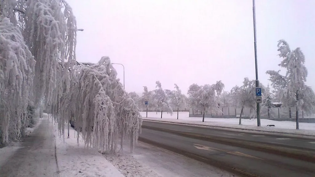 Námraza na Vysočině (Třebíč)