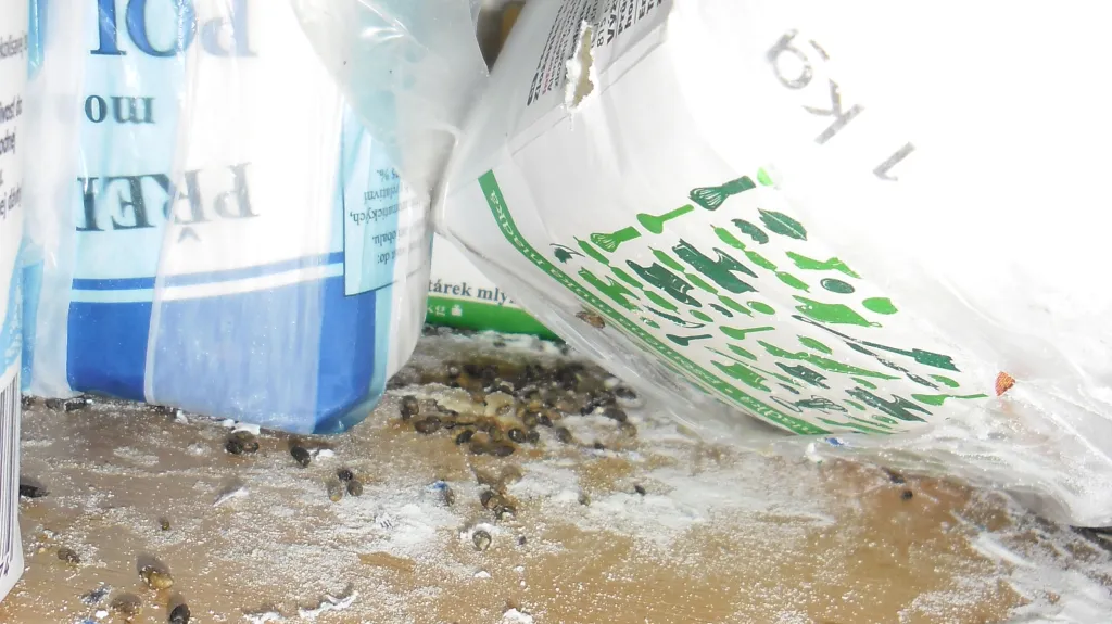 Inspektoři nalézají myší trus i u potravin