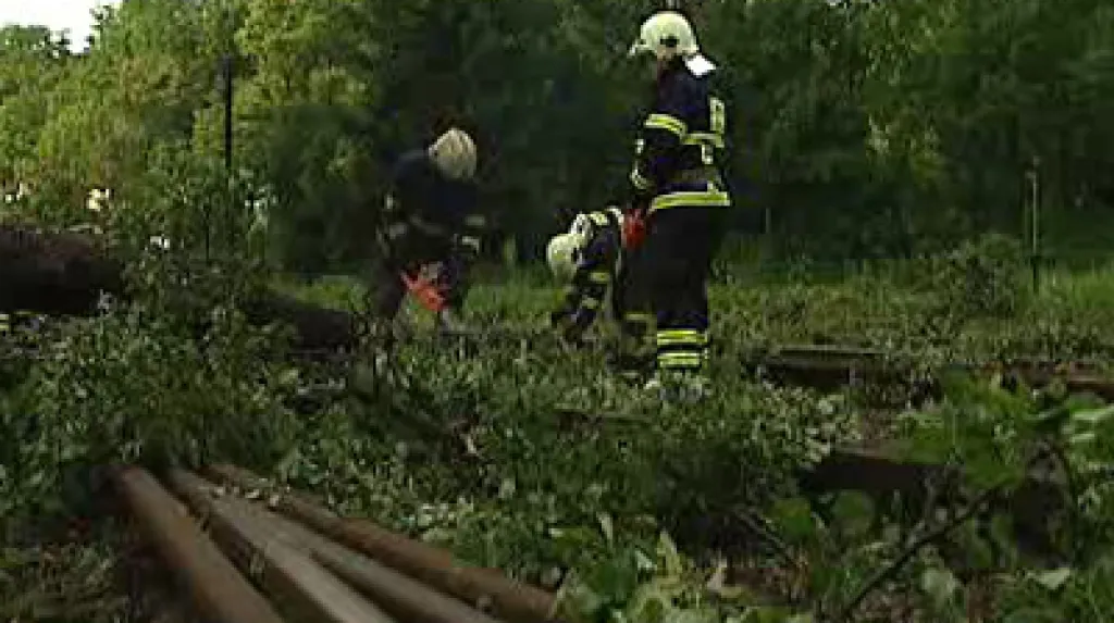 Hasiči odstraňují spadlé větve