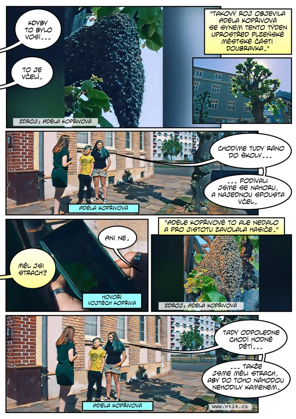 Včely se rojí, ne vždy musí vyjet hasiči