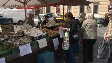 Zelný trh v Brně