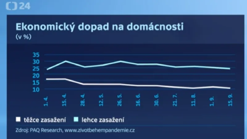 Ekonomický dopad na domácnosti