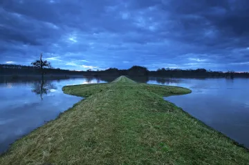 Oblast soutoku Moravy a Dyje by se mohla stát CHKO. Lesníkům se to ale moc nelíbí