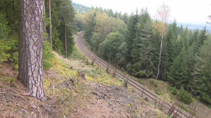 Železniční trať u Skalné