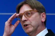 Česko nelze srovnávat s Polskem či Maďarskem, myslí si šéf evropských liberálů Verhofstadt