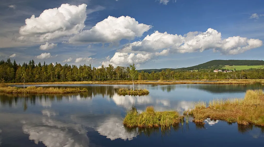 Šumava