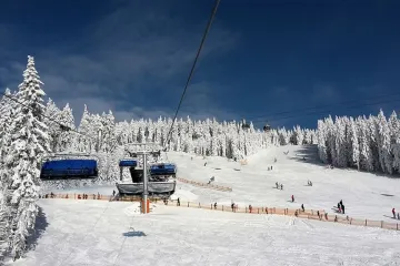 Návštěva zoo nebo sešup na sjezdovce. Akce pro ty, co nechtějí na Štědrý den sedět u salátu a cukroví