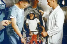 Šimpanz Ham byl prvním lidoopem ve vesmíru. Za nebezpečný let dostal jablko a půl pomeranče