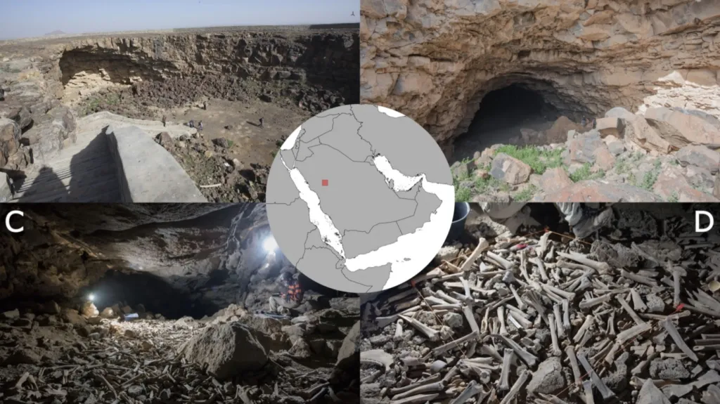 Jeskyně v Saúdské Arábii plná kostí
