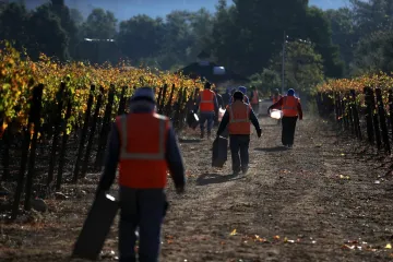 Řecké vinařství upadá. Pomoci má modernizace a turismus