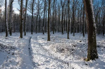 Začátek roku bude zatažený s deštěm a přeháňkami, ČHMÚ vydal výstrahu před povodněmi