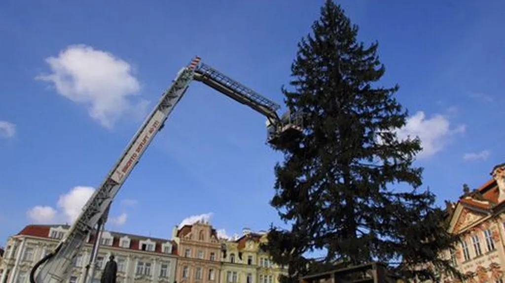 Vánoční strom