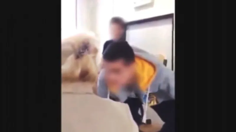 Napadání učitelky studenty střední průmyslové školy natočili jejich spolužáci na video