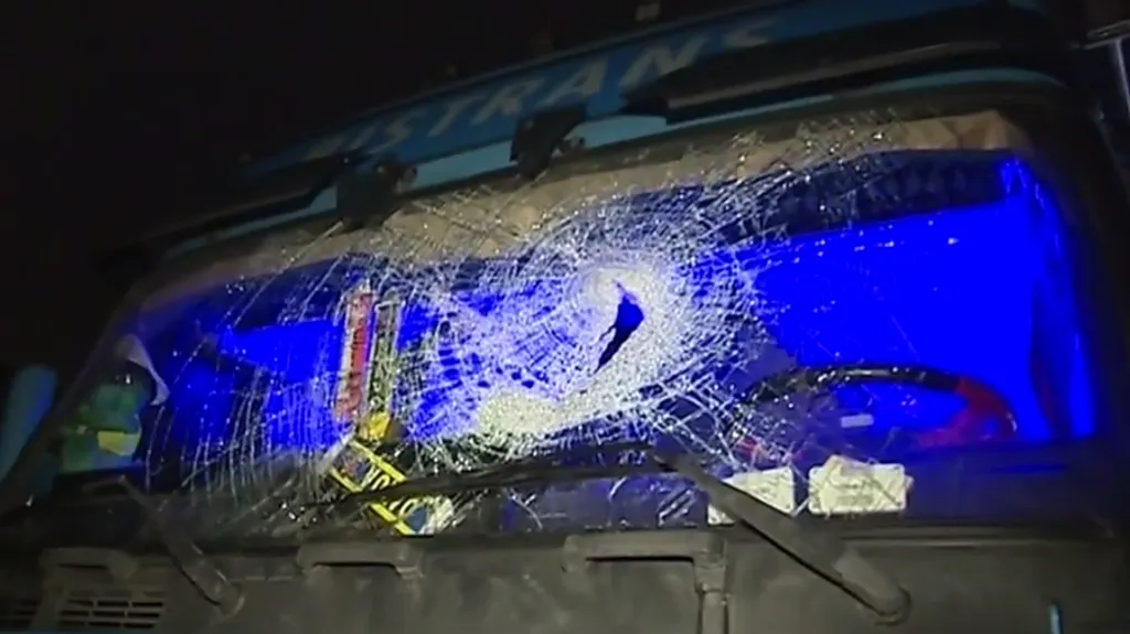 Pachatelé házeli dřevo na auta