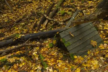 Lesy ČR kácením poničily studánku v rezervaci Psí kuchyně. Dřevo ale podle podniku nelze odvézt