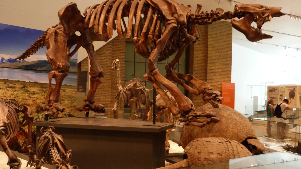 Obří lenochod Eremotherium laurillardi