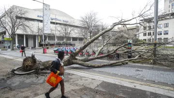 Spadlý strom nedaleko stanice Waterloo v Londýně