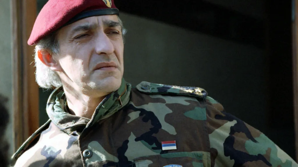 Dragan Vasiljkovič na snímku z roku 1993