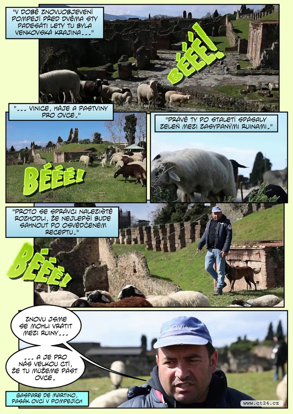 Ovce zachraňují Pompeje