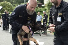 Nejlepší policejní psi v Česku hledali na soutěži drogy a výbušniny. Zvítězili Ipos, Force Graf, Erik a Lex