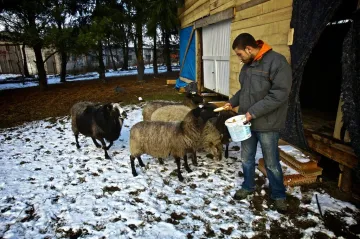 „To nejde zabít jen tak.“ Trailer předznamenává Manželské etudy nové generace