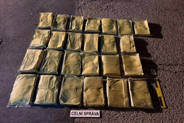 Celníci zachytili stovky kilogramů nelegálního kratomu, nejvíce v historii Česka