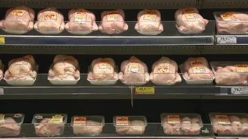 Ilustrační snímek