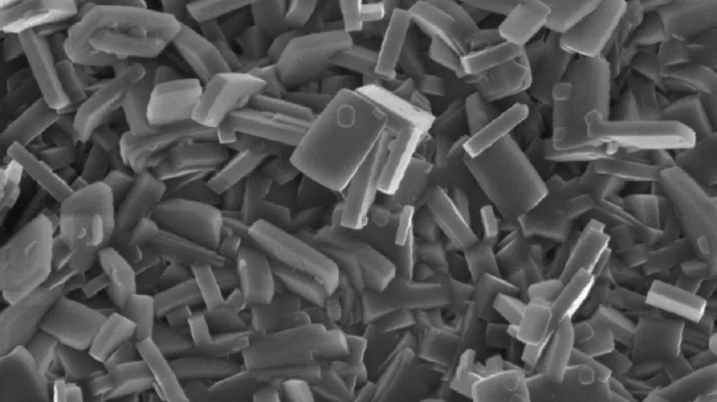 Zeolit pod mikroskopem