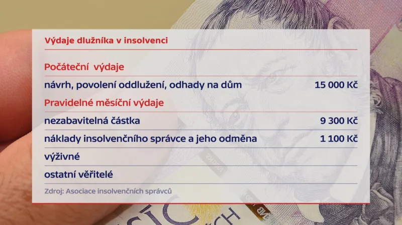 Výdaje dlužníka v insolvenci