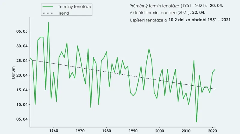 Posun snesení prvního vejce u sýkory koňadry