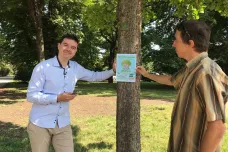 Dva inženýři chtějí přesvědčit Brňany, aby v ulicích města zalévali stromy