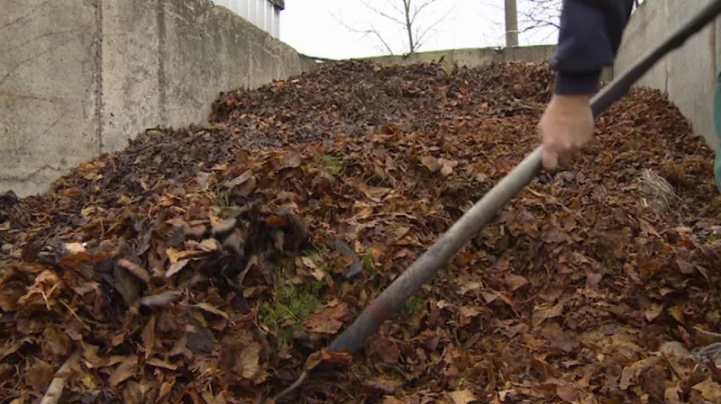 Bioodpad ve sběrném dvoře v Miletíně