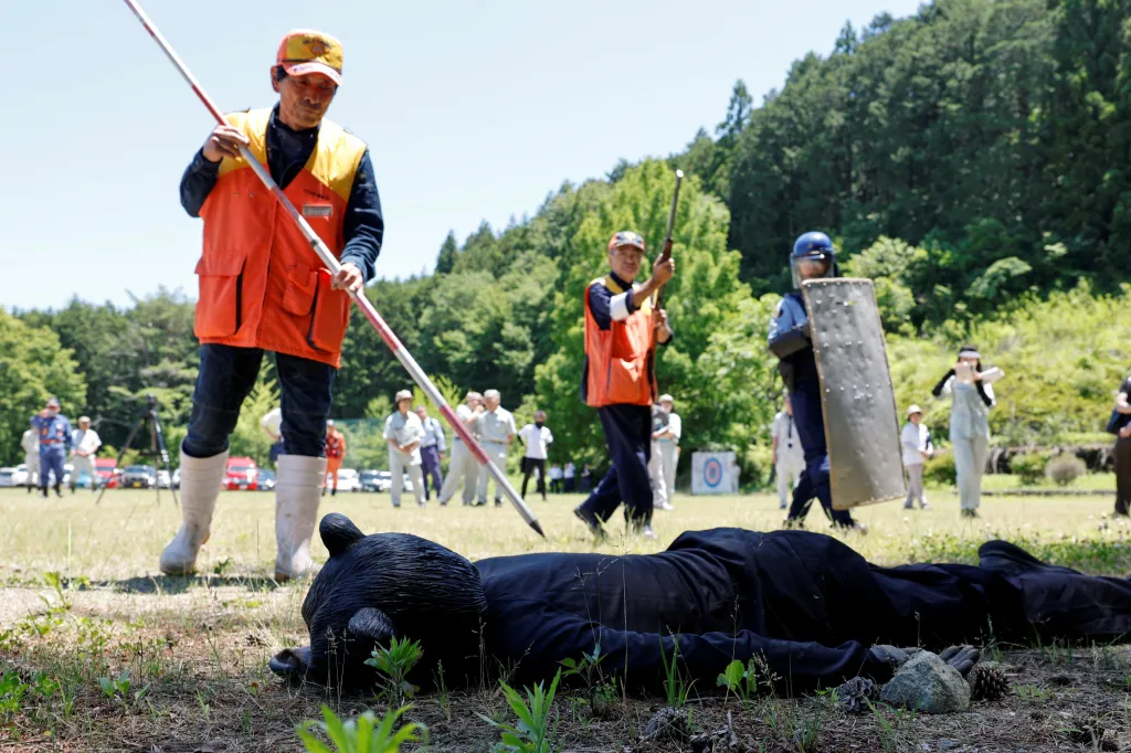 Cvičení simulující vniknutí medvěda v Japonsku