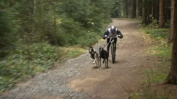 Kategorie koloběžka se dvěma psy