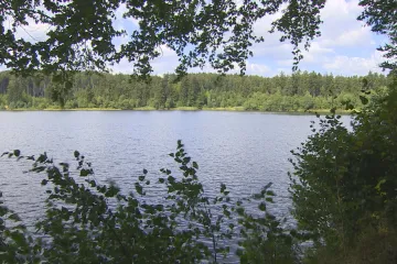 Zbavovat se vody, když je sucho? Proti vypouštění Velkopařezitého rybníku sepsali místní petici