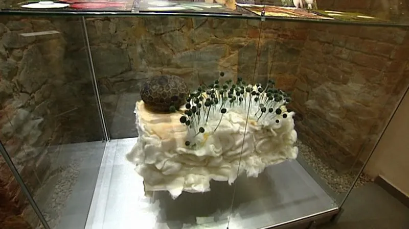 Model plísně na drobku rohlíku s makovým zrnkem